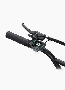 ENGWE L20 Boost Elcykel