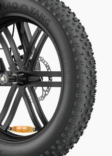 ENGWE L20 Boost Elcykel