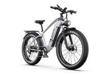 DUOTTS F26Lite – El-mountainbike