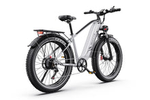 DUOTTS F26Lite – El-mountainbike