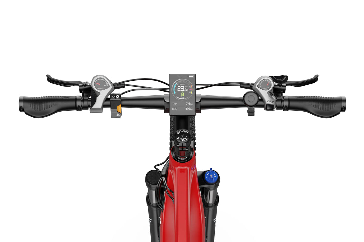 DUOTTS E29 El-mountainbike