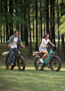 ENGWE E26 Dame Elcykel