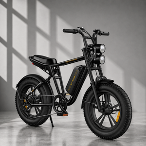 ENGWE M20