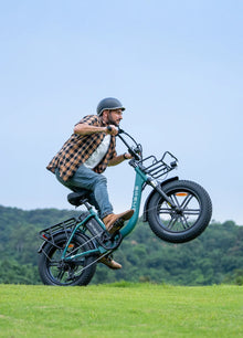 ENGWE L20 Boost Elcykel