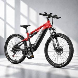 DUOTTS E29 El-mountainbike